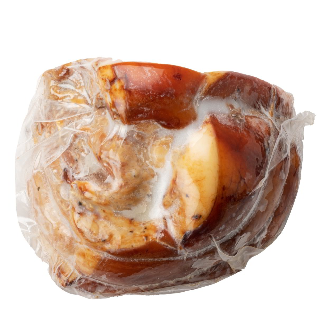 PORCHETTA TREVIGIANA 1/4 S.V kg 2,2- Pacco singolo