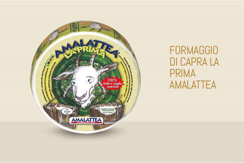 CACIOTTA DI CAPRA LA PRIMA AMALATTEA gr. 300 - Pacco da 6