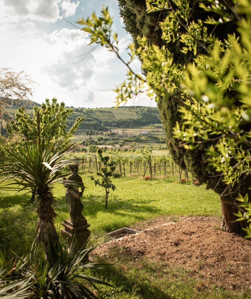 Valpolicella Ripasso Classico Superiore d.o.c. - pacco da 6