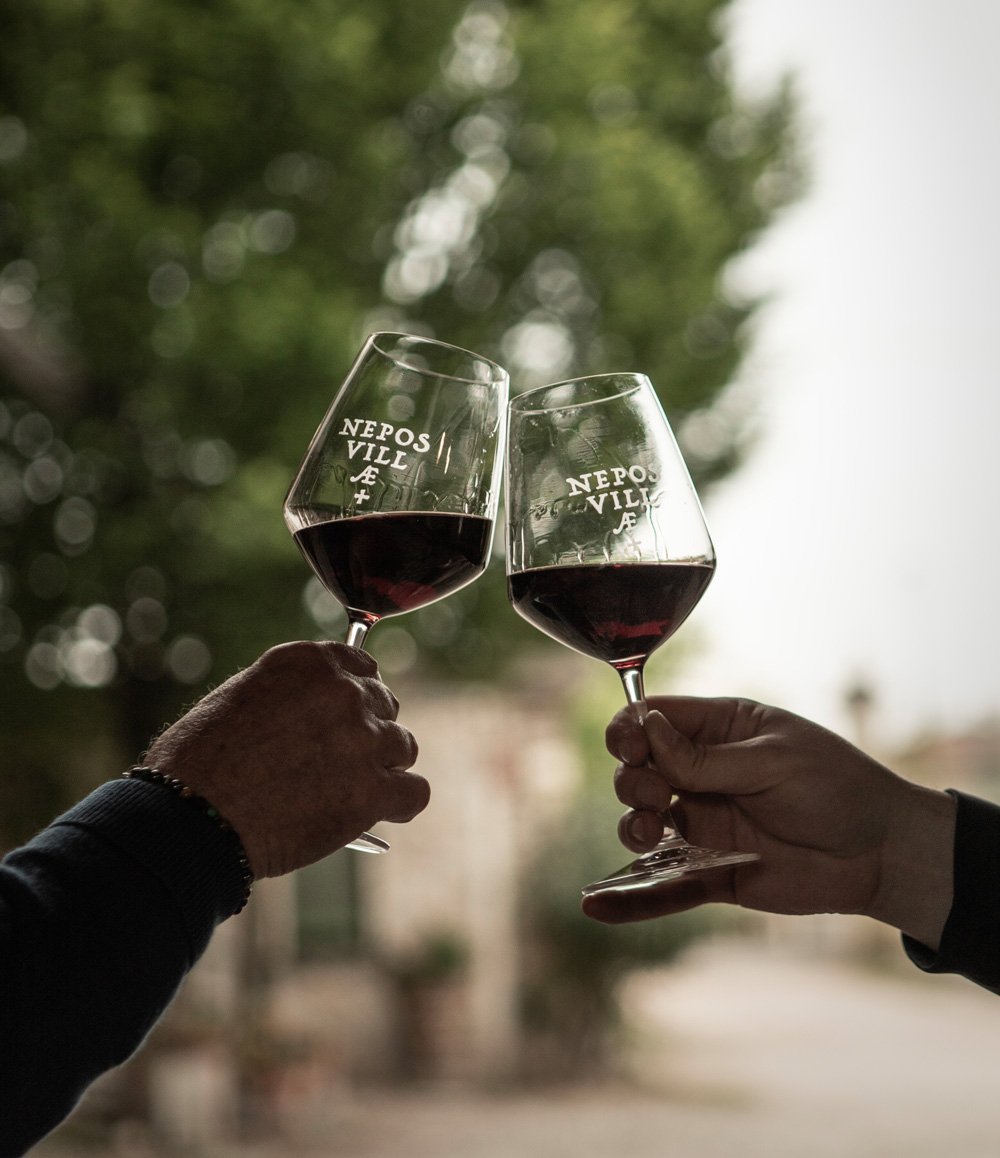 Valpolicella Ripasso Classico Superiore d.o.c. - pacco da 6