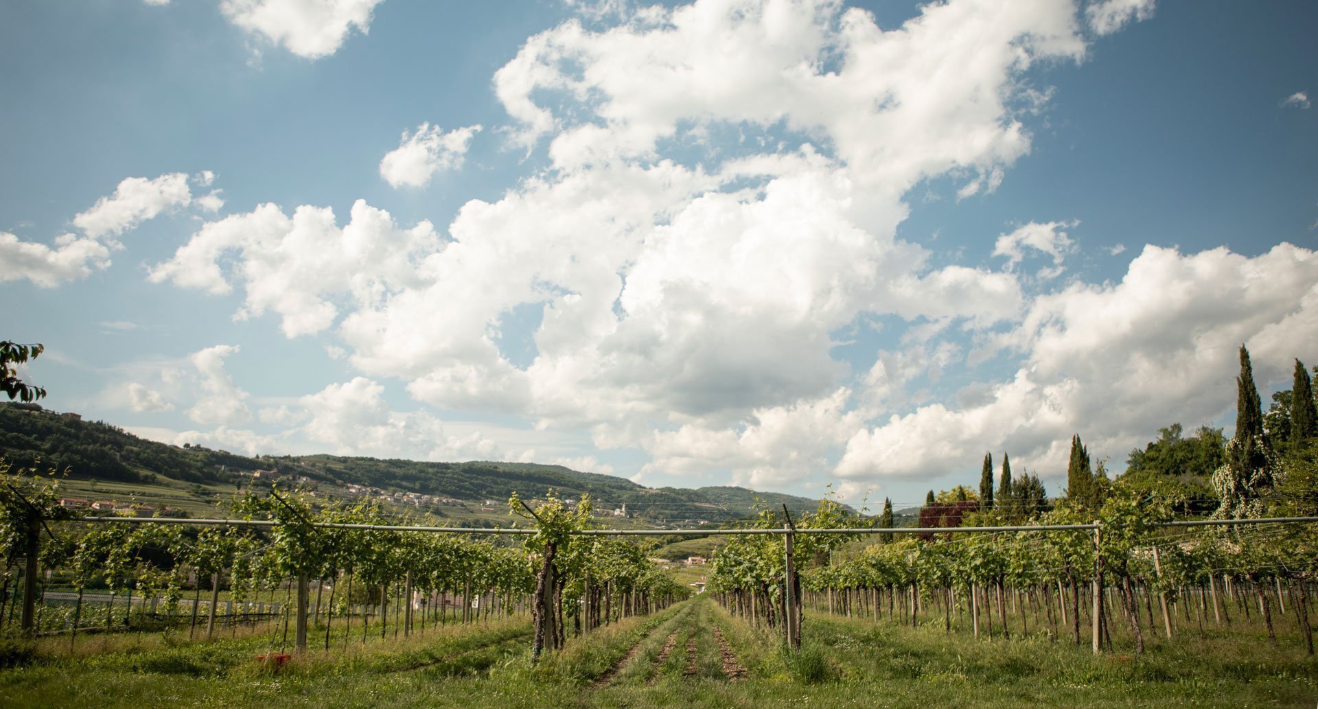 Valpolicella Ripasso Classico Superiore d.o.c. - pacco da 6